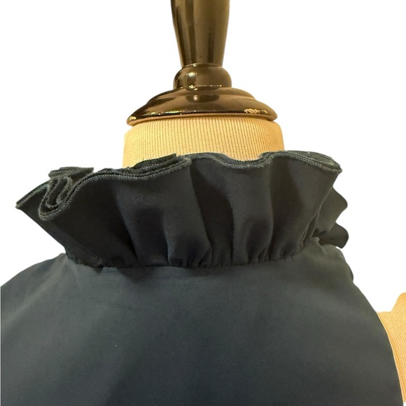 Robbi & Nikki Elegant Ruffled Black Sleeveless Top - Picture 6 of 11